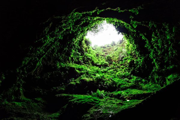 Descente en profondeur : explorer les grottes mystérieuses du monde souterrain