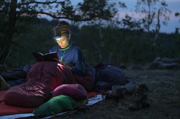 Quels sont les meilleurs endroits pour camper en forêt avec des enfants?