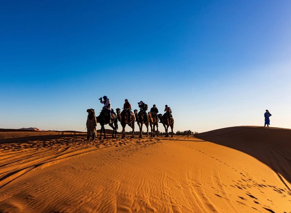Où trouver les meilleures expériences de randonnée à dos de chameau dans le désert du Sahara ?